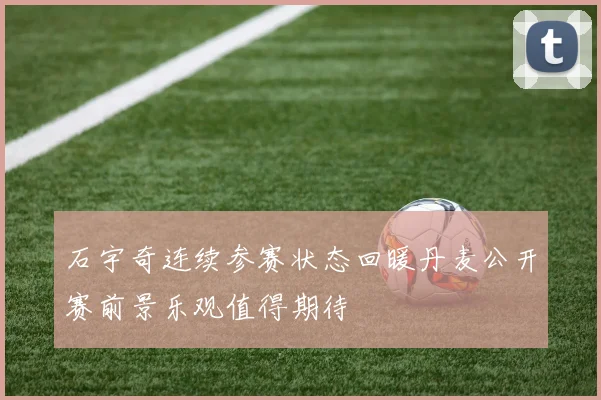 石宇奇连续参赛状态回暖丹麦公开赛前景乐观值得期待